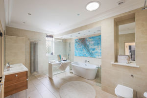 Photo 11- click for photo gallery